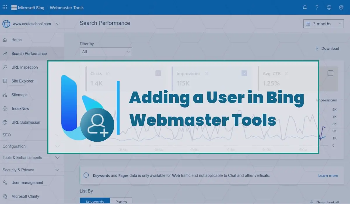 How to Add a User in Bing Webmaster Tools